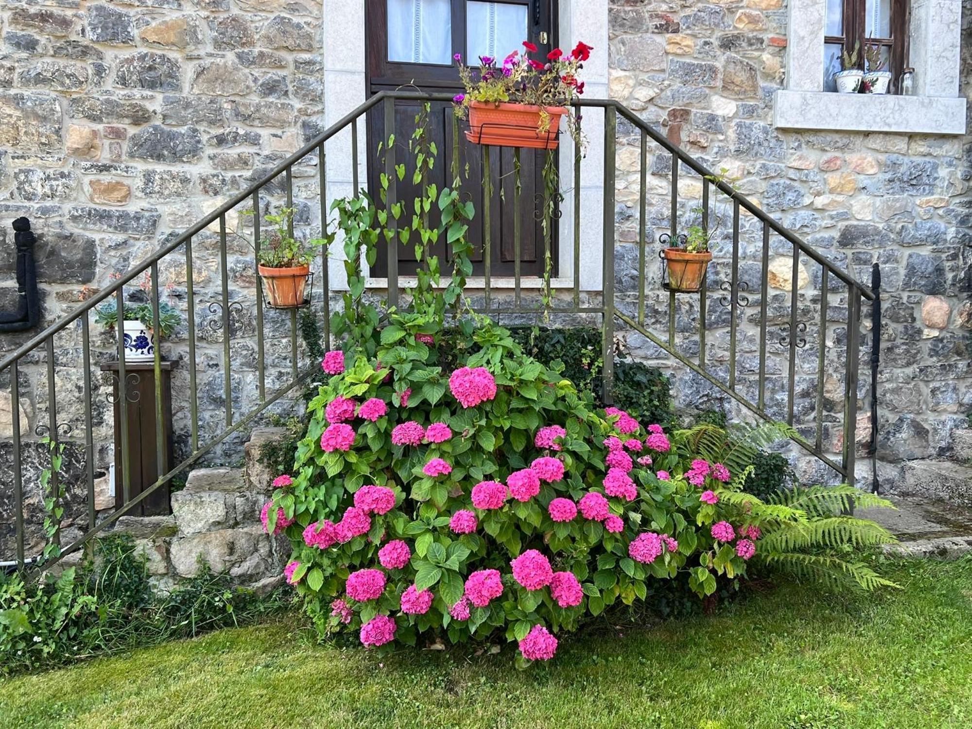 Casa Rural Casa Cerezal Onís Exteriér fotografie